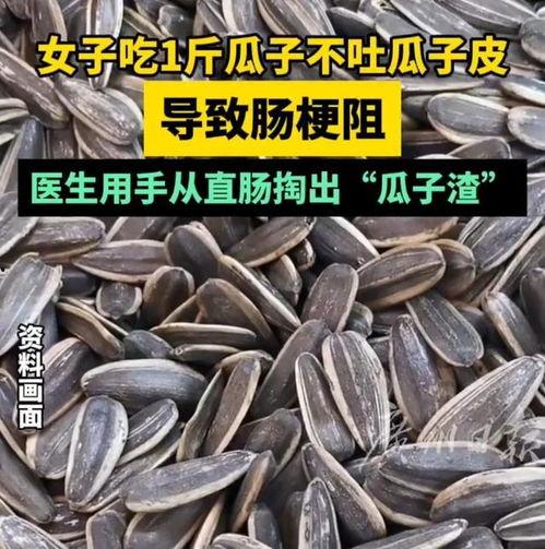 吃瓜子不吐瓜 第1张 吃瓜子不吐瓜 第1张