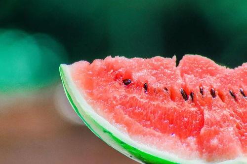 吃瓜子不吐瓜 第2张 吃瓜子不吐瓜 第2张