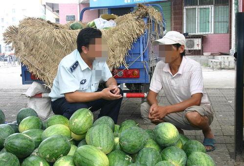 吃鸡卖歪瓜  第3张