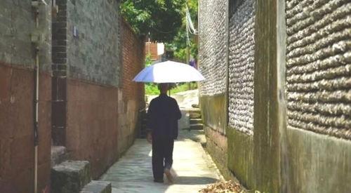 平遥吃瓜群众事件,一场网络舆论的风暴与反思  第2张