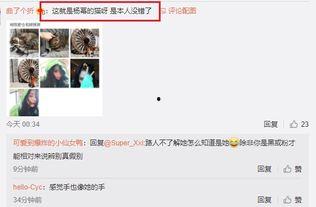 吃瓜小号的微博,娱乐圈幕后故事大曝光  第3张