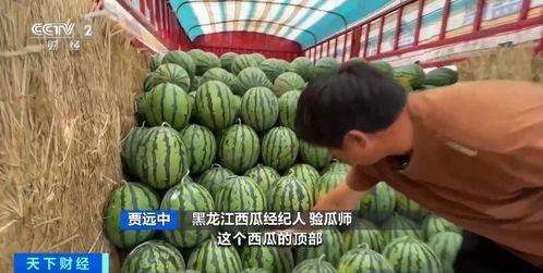 吃瓜的乌拉,揭秘娱乐圈背后的那些事儿  第2张