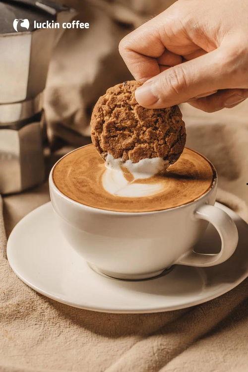 吃瓜卖咖啡的,揭秘网红新宠的跨界魅力  第3张