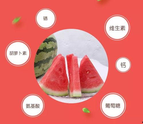 吃瓜吃到自己家宁夏  第1张