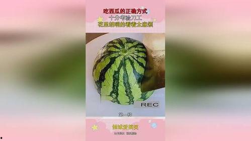 花里胡哨的吃瓜,一场视觉与味蕾的双重盛宴  第2张
