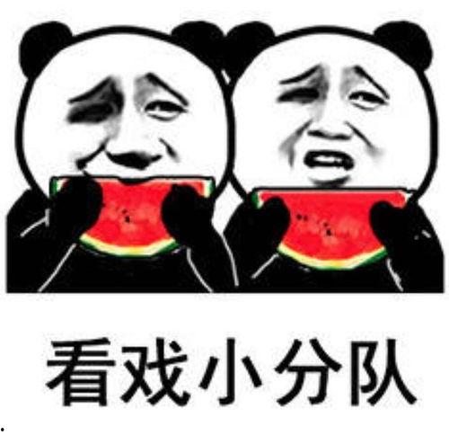 吃瓜人表情表,揭秘网络社交中的喜怒哀乐  第1张